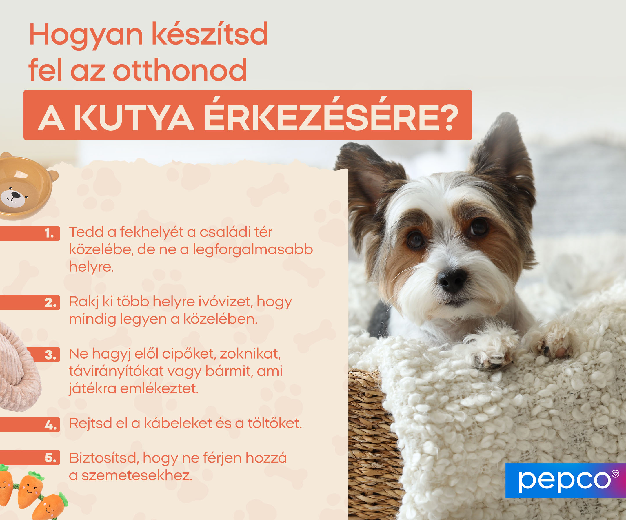 Hogyan készítsd fel az otthonod a kutya érkezésére?